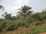 48988CIMG5325.JPG