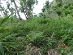 53439CIMG6772.JPG