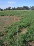 51469Vic002_L2.JPG