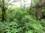 45765CIMG2850.JPG