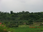 34724CIMG2547.JPG