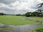 21358DSC00630.JPG