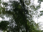 45086CIMG2171.JPG