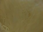 58471CIMG2921.JPG