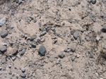 11500vp-029-Waste land, short grasses and open lands-a.jpg