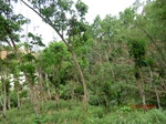 53444CIMG6777.JPG
