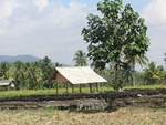 31185CIMG1047.JPG