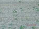 29785CIMG1136.JPG