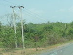 51521P1000683.JPG