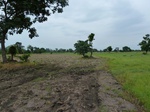 18432P1000268.JPG