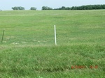 29668CIMG0958.JPG