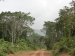 47675CIMG4012.JPG