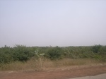 9152RIMG0233.JPG