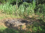 32163IMG_0748.JPG