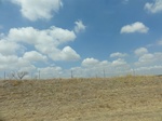 35439DSC02951.JPG
