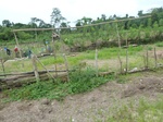 54996Berau (296).JPG