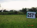 129160257a-irrigated-rainfed-(supplemental)-agriculture-rice-dominant-millet.gif