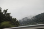 2024-08-05_13-43-57_CA04FD10-5FF3-49D8-B035-2FB647770746.jpeg