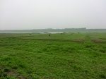 51780CIMG0006.JPG