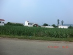 32738CIMG1870.JPG