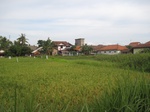 14264IMG_4604.JPG