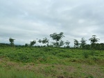 25843P1020262.JPG