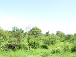 19511P1010358.JPG