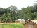 49303CIMG5640.JPG