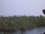 636R0015144.jpg