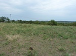 36116P1050205.JPG