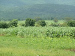 18816P1000655.JPG