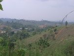 28213RIMG0209.JPG