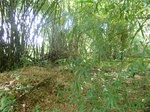 20612P1020469.JPG
