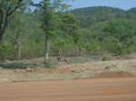 8866nigeria 077.jpg
