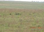 29503CIMG0813.JPG