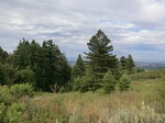 55701CIMG2477.JPG