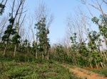 53509CIMG6849.JPG
