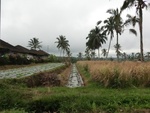 30850CIMG0700.JPG