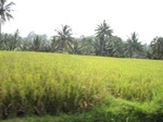 13898IMG_4180.JPG