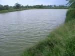 26202RIMG0254.JPG