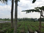 31208CIMG1070.JPG