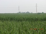 32856CIMG1988.JPG