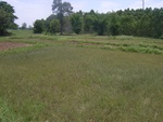 34604RIMG0070.JPG
