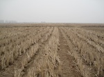 8530IMG_0356.JPG