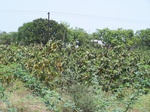 1765422042008(36).JPG
