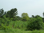 18758P1000596.JPG