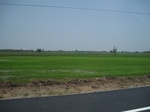 34529IMG_5512.JPG
