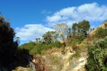 28742P1010769-1.JPG