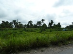 18199P1000035.JPG