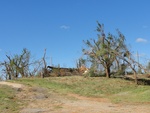 39740DSC01048.JPG